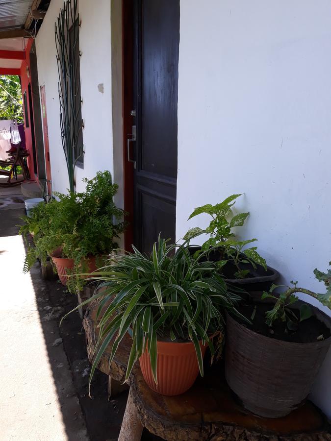 Santa Cruz Mi Ranchito B&B 외부 사진